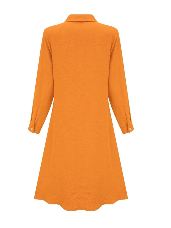 Ruby | Button - Down Chic Shirt Dress - Benjamin New York